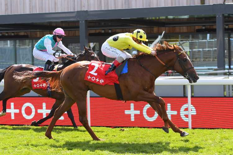EL DRAMA winning the tote+ Biggest Dividends At tote.co.uk Dee Stakes (Listed)