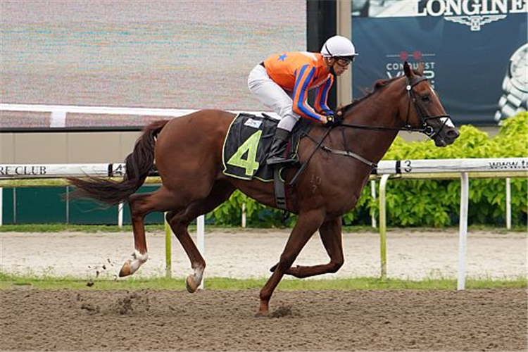 ELLIOT NESS winning the ARAMCO 2019 STAKES RESTRICTED MAIDEN