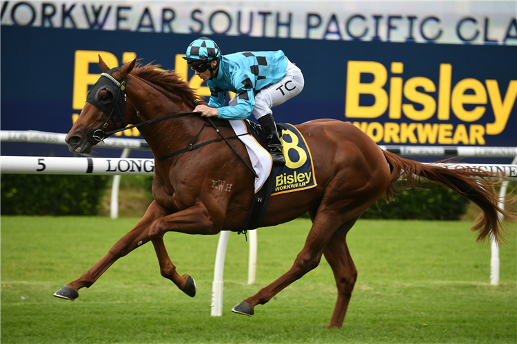 ELLSBERG winning the Bisley Workwear South Pacific at Randwick in Australia.