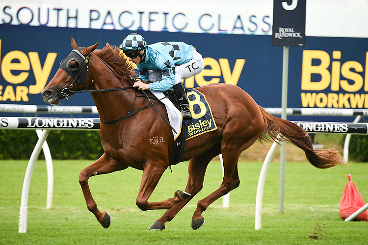 ELLSBERG winning the Bisley Workwear South Pacific