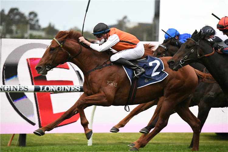 ELLSBERG winning the Elite Sand & Soil Handicap at Rosehill in Australia.