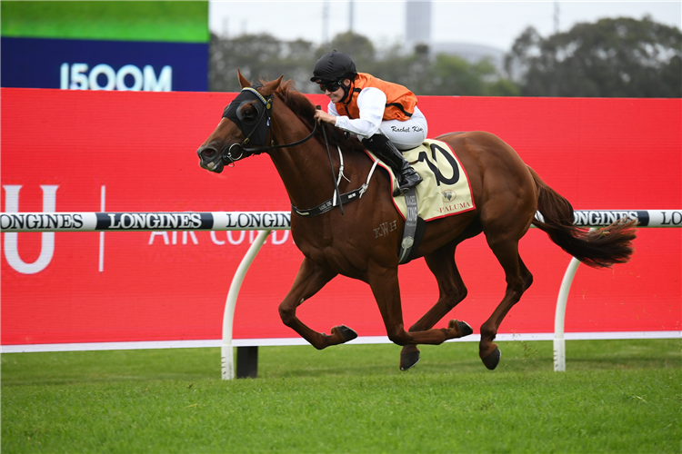 ELLSBERG winning the Festival Stakes at Rosehill in Australia.