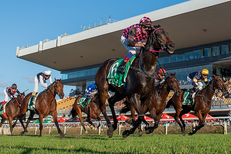 EMERALD KINGDOM winning the Tab Brc Sprint