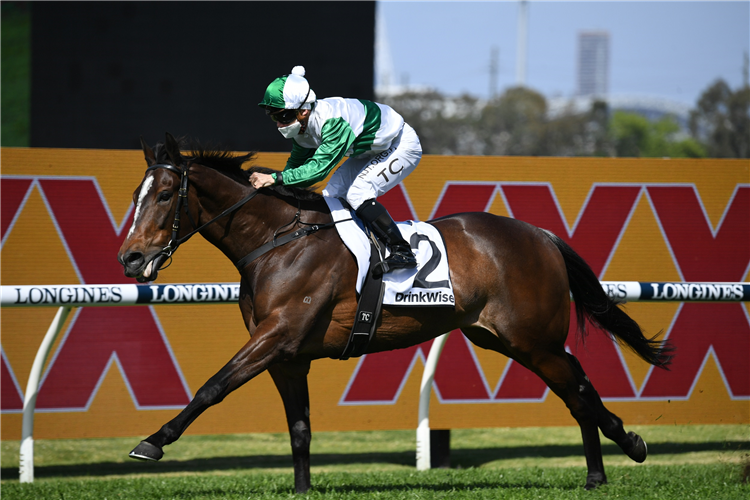ENTENTE winning the Drinkwise Colin Stephen Qlty at Rosehill in Australia.