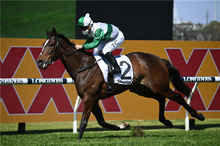 ENTENTE winning the Drinkwise Colin Stephen Qlty at Rosehill in Australia.