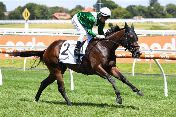 ENTHAAR winning the Chairman's Stks at Caulfield in Australia.