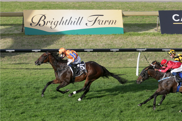 ENTRIVIERE winning the Brighthill Farm Concorde Hcp