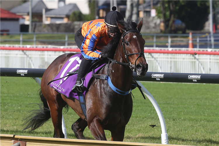 Entriviere winning her 900m trial at Ellerslie on Tuesday.