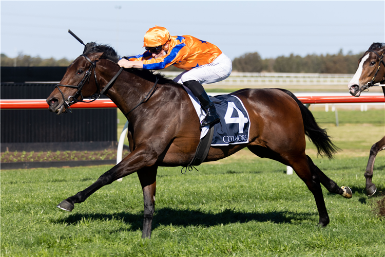 ENTRIVIERE winning the Coolmore Sheraco Stakes at Kembla Grange in Australia.