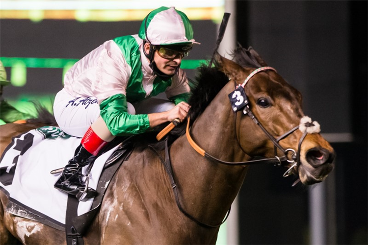 EQUILATERAL winning the Meydan Sprint Sponsored By Land Rover
