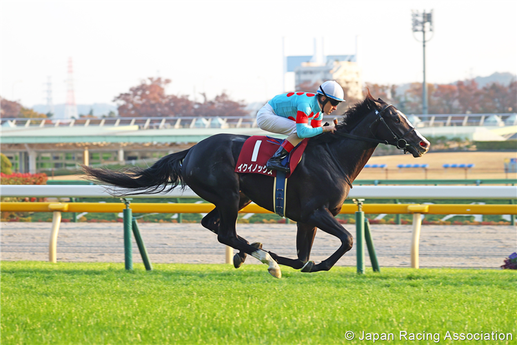 EQUINOX winning the Tokyo Sports Hai Nisai Stakes at Tokyo in Japan.