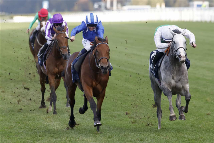 ESHAADA (left)winning the Qipco British Champions Fillies & Mares Stakes (Group 1)