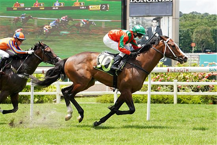 Everest (Danny Beasley) springs a surprise at his winning debut in Race 2.