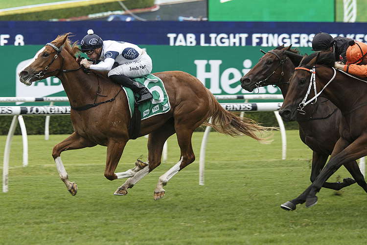 EVERY ROSE winning the Tab Light Fingers Stakes