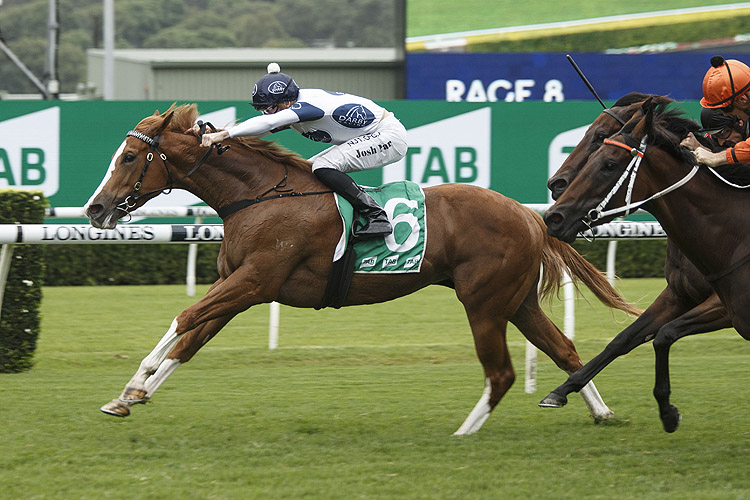 EVERY ROSE winning the Tab Light Fingers Stakes