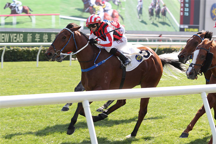 EXPLOSIVE WITNESS winning the The Bauhinia Sprint Trophy