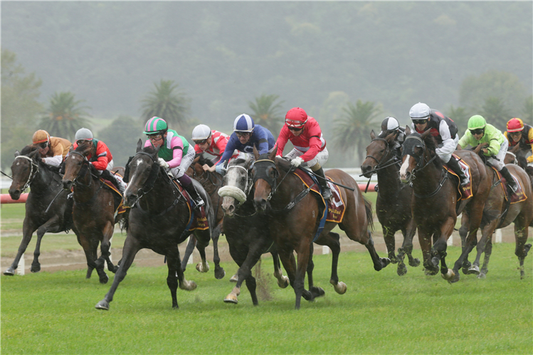 Racing at Te Aroha was abandoned due to a slippery track, after Extortion (red colours) slipped and fell just past the winning post