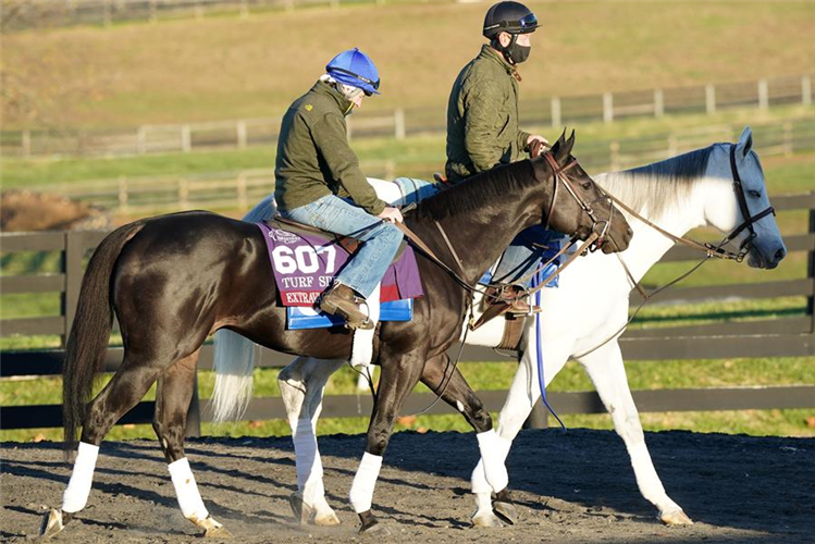 Extravagant Kid breezing for the Breeders' Cup Turf Sprint