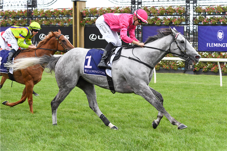 FABERGINO winning the Kensington Stakes at Flemington in Australia.