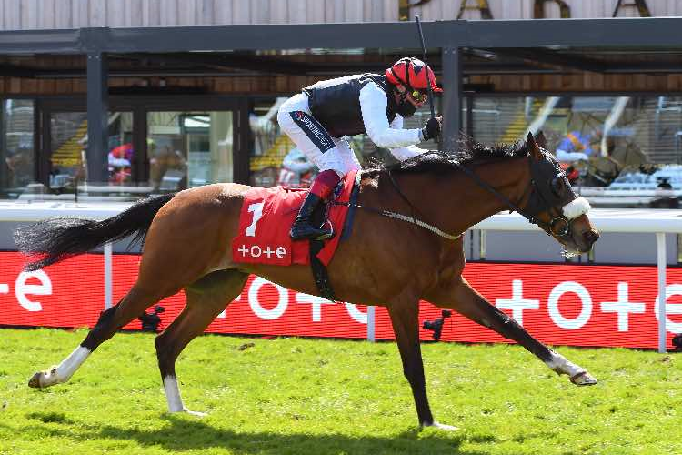 FALCON EIGHT winning the tote+ Chester Cup Handicap