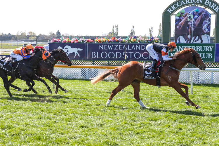 FIELD OF GOLD winning the Inglewood Stud Guineas Trial