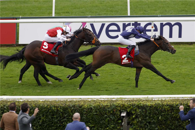 FLAMING RIB winning the Virgin Bet Doncaster Stakes (Listed)