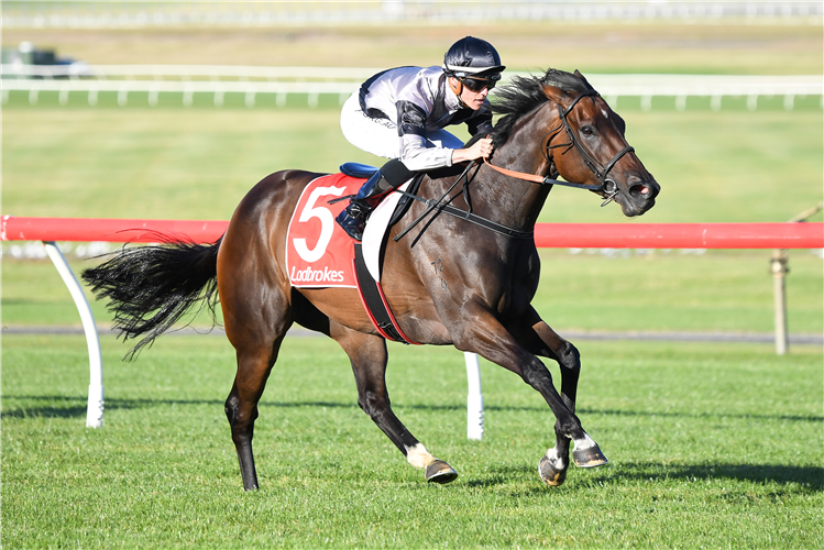 FLANDERSRAIN winning the Ladbrokes Odds Boost Handicap at Ladbrokes Park Hillside in Springvale, Australia.