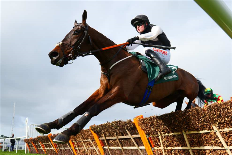 FLOORING PORTER winning the Paddy Power Stayers' Hurdle at Cheltenham