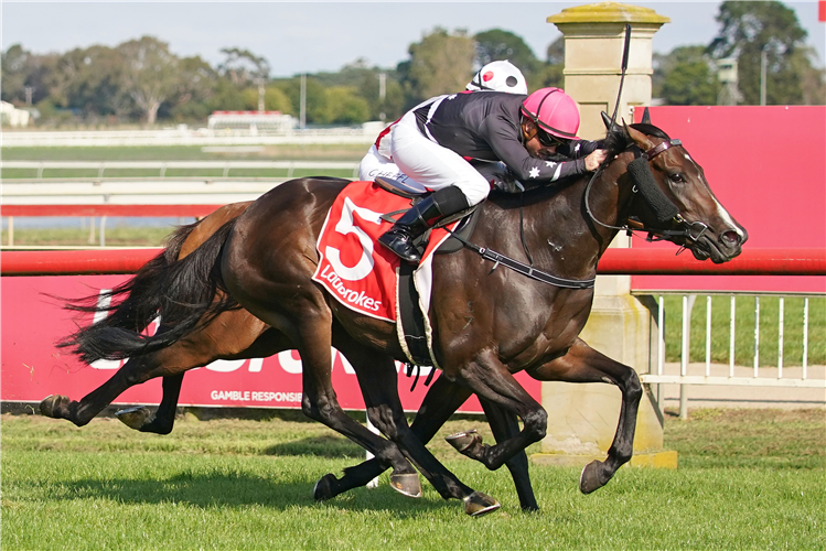 FLORESCENT STAR winning the Carlton Draught Fillies and Mares BM70 Handicap in Sale, Australia.