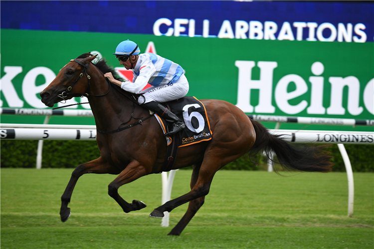 FORBIDDEN LOVE winning the Cellarbrations Surround Stakes at Randwick in Australia.