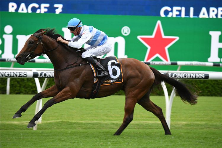 FORBIDDEN LOVE winning the Surround Stakes at Randwick in Australia.