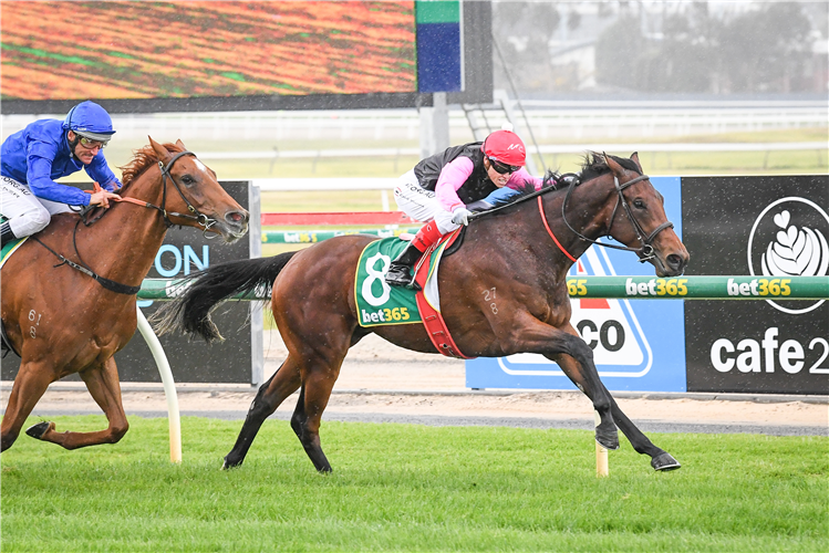 FOREVER AND A DAY winning the Thompson Creek Thoroughbreds 2YO Maiden Plate in Geelong, Australia.
