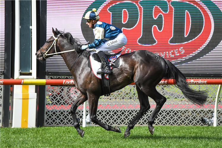 FORGOT YOU winning the PFD Food Services Hcp at Moonee Valley in Australia.