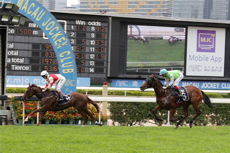 FORTUNE LADY winning the THE NANJING