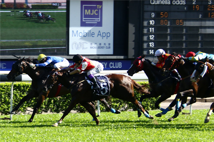 FORTUNE LADY winning the THE CHONGQING