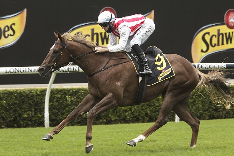 FOUR MOVES AHEAD winning the Schweppes Hcp