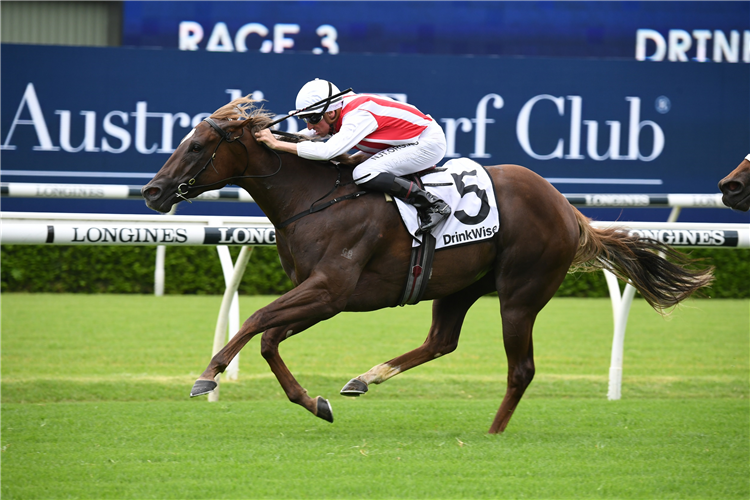 FOUR MOVES AHEAD winning the Drinkwise Sweet Embrace Stakes at Randwick in Australia.