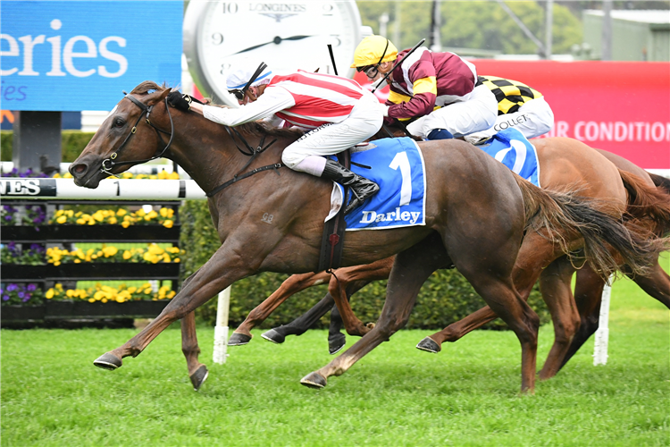 FOUR MOVES AHEAD winning the Darley Tea Rose Stakes at Randwick in Australia.