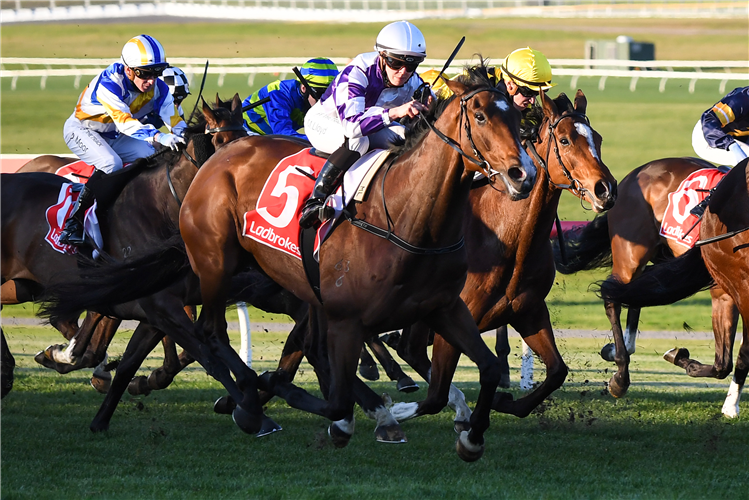 FRANKIE PINOT winning the Ladbrokes Punter Assist Handicap at Ladbrokes Park Lakeside in Springvale, Australia.