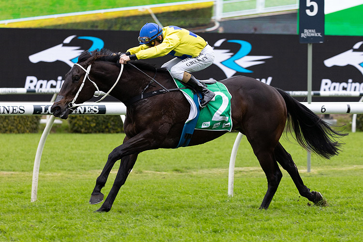 FROM THE BUSH winning the Tab Highway Hcp (C3)