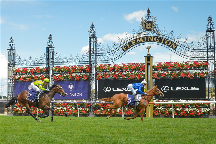 FROST FLOWERS winning the New Year Sprint at Flemington in Australia.