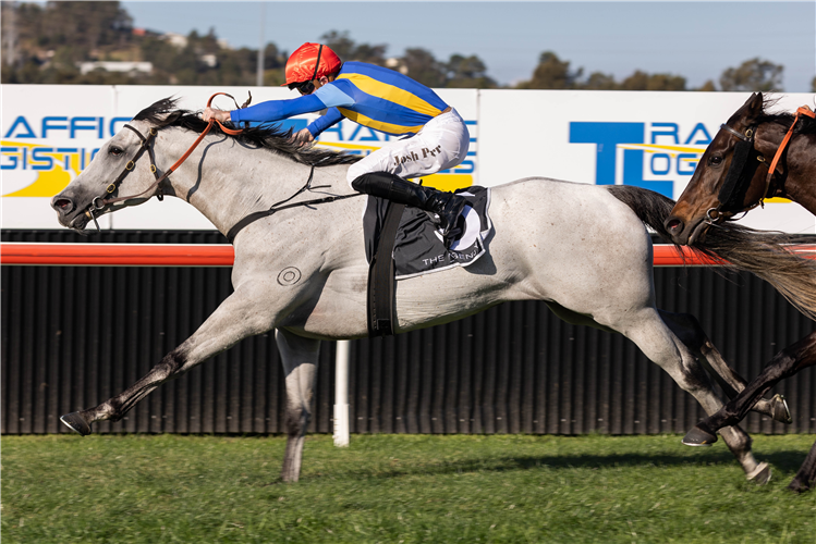 FROSTY ROCKS winning the The Agency Spring Preview at Kembla Grange in Australia.