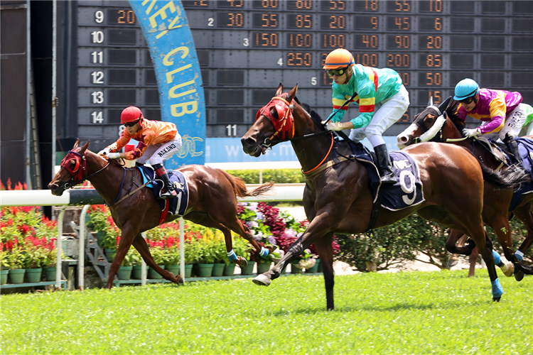 FULLY REALISED winning the THE SEOUL