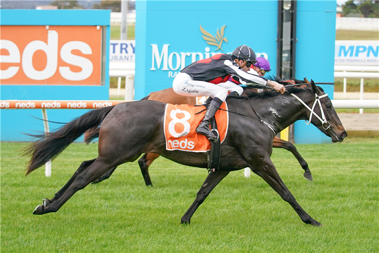 FUNKY ME winning the Modtech Group Electricians Plate in Mornington, Australia.