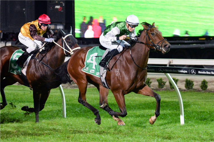 GALENUS winning the Tab Racing Industry (Bm70) in Cranbourne, Australia.