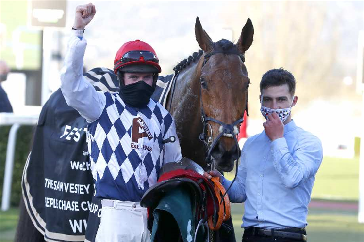 GALVIN after winning the Sam Vestey National Hunt Challenge Cup Novices' Chase in Cheltenham, England.