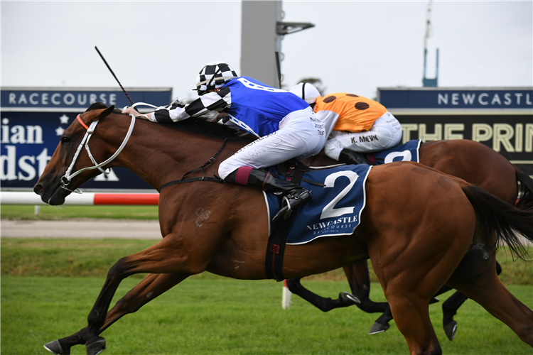 GEM SONG winning the Suez Newcastle Newmarket Hcp at Newcastle in Australia.