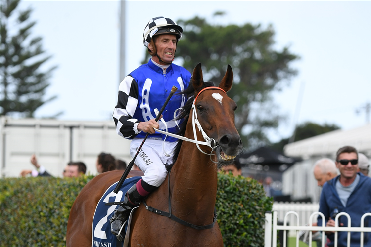 GEM SONG winning the Suez Newcastle Newmarket Hcp at Newcastle in Australia.