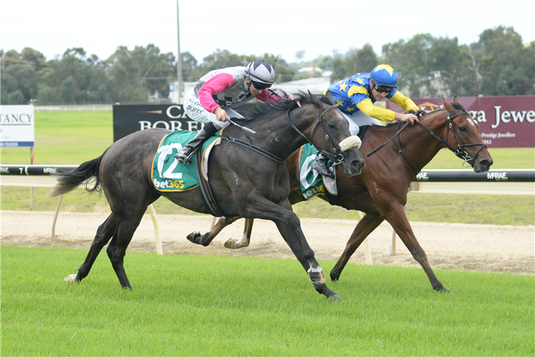 GHOSTED winning the Boss Better Living Systems Mdn at Wodonga in Australia.