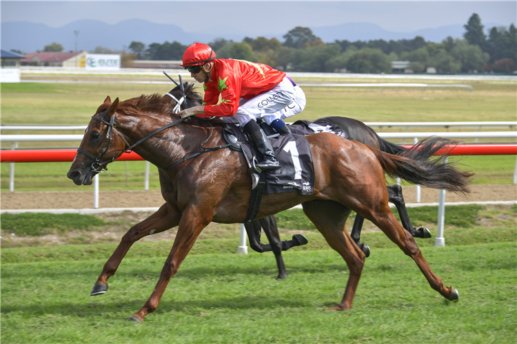 GLENEAGLES winning the St John's Club Clarendon Stks at Hawkesbury in Australia.